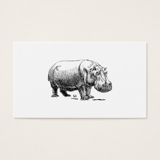 Hippopotamus (Front)