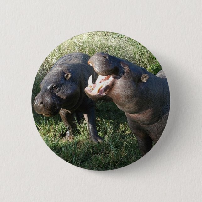 Hippopotamus 2 Inch Round Button (Front)