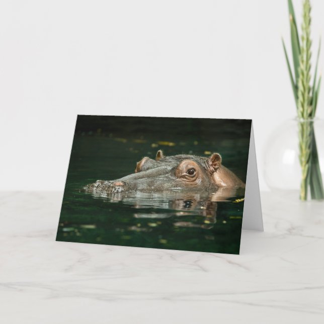 Hippopotamus Card (Front)