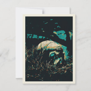 hippopotamus close to a river, hippo postcard