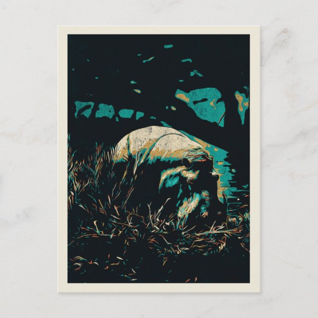 hippopotamus close to a river, hippo postcard (Front)