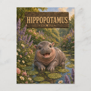 Hippopotamus Cute Baby Storybook Nursery Animal Postcard