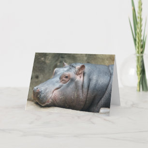 Hippopotamus greeting card