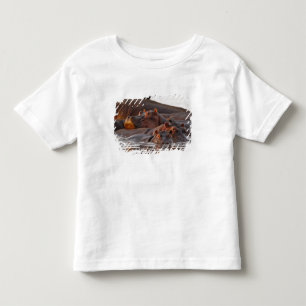 Hippopotamus, Hippopotamus amphibius, Lake Toddler T-shirt