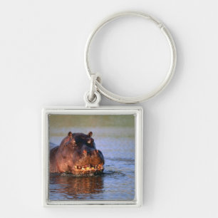 Hippopotamus in River Keychain