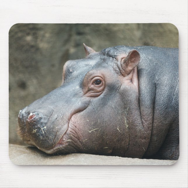 Hippopotamus mousepad (Front)