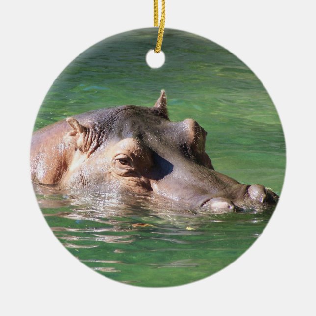 Hippopotamus Swimming On The Surface Ceramic Ornament (Front)