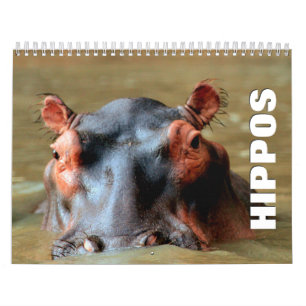 Hippopotamus Wall Calendar