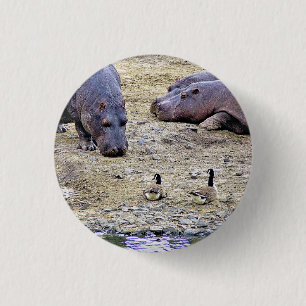 HIPPOS 1 INCH ROUND BUTTON