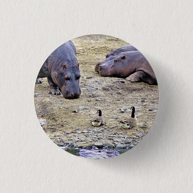 HIPPOS 1 INCH ROUND BUTTON (Front)
