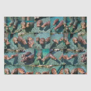 Hippos at Play: A Pond Paradise Tissue Paper