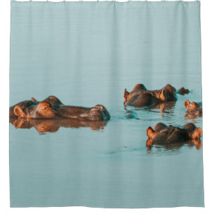 HIPPOS COOLING OFF IN THE DAM