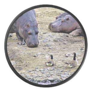 HIPPOS HOCKEY PUCK