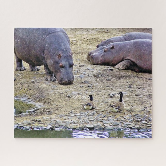 HIPPOS JIGSAW PUZZLE (Horizontal)