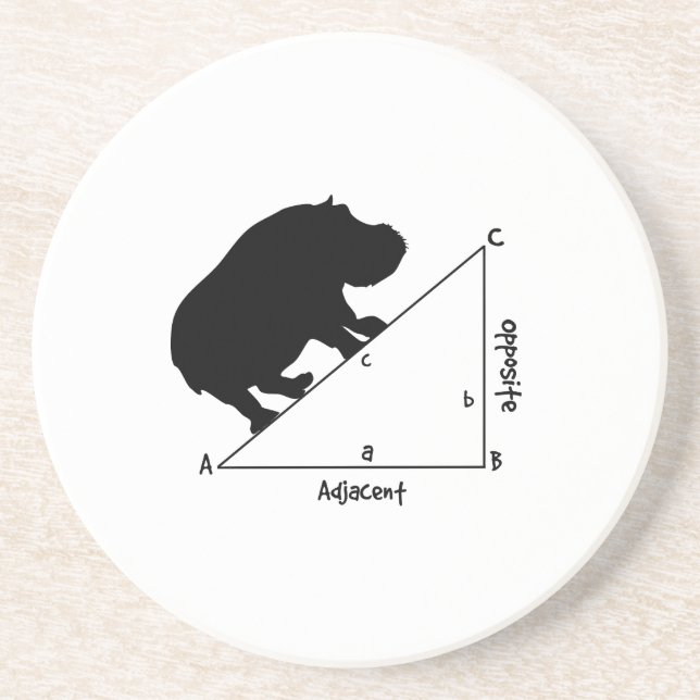 Hippotenuse Coaster (Front)