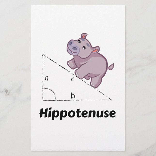 Hippotenuse Funny Math (Front)
