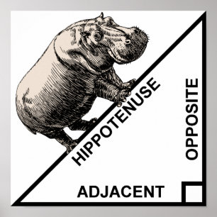 Hippoténuse Hypoténuse Affiche de Mathématiques dr