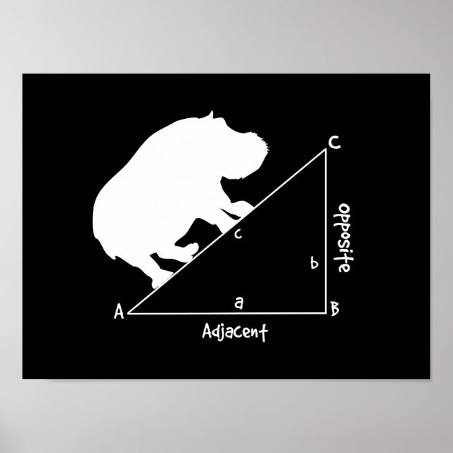 Hippotenuse Poster (Front)