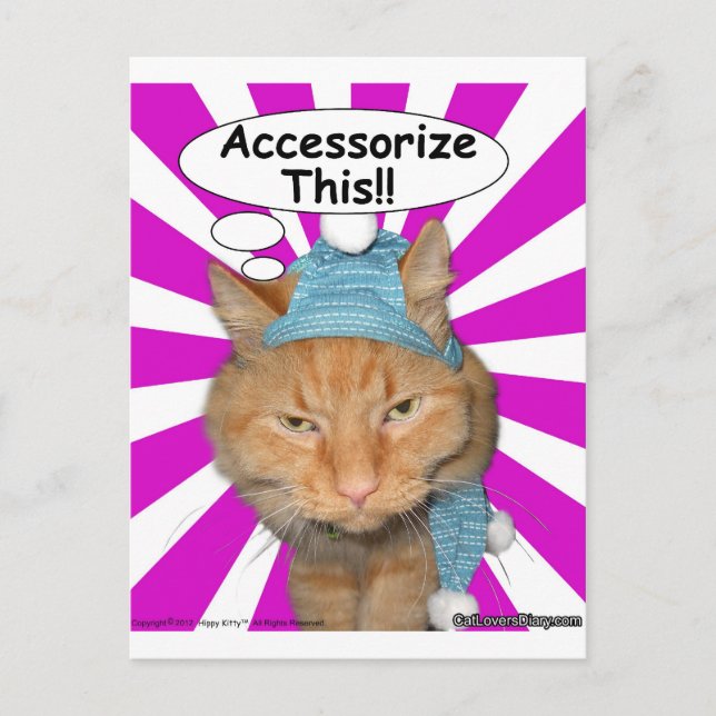 Hippy Kitty Accessorize This!! Postcard (Front)