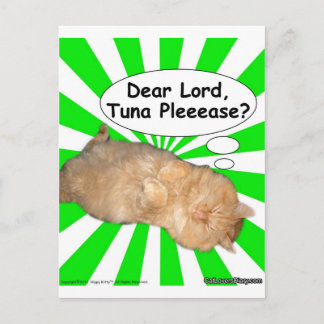 Hippy Kitty Dear Lord, Tuna Pleeease? Postcard