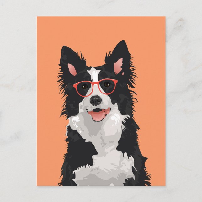 Hipster Border Collie Postcard for Dog Lovers (Front)