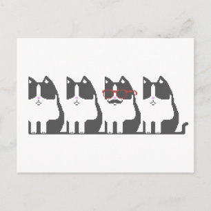 Hipster Cat Standing Out Pixel Art Postcard