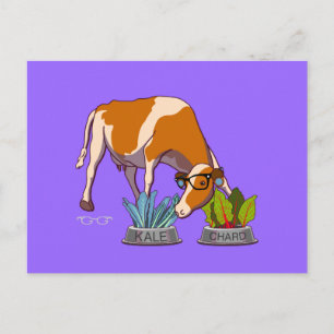Hipster Cow Postcard