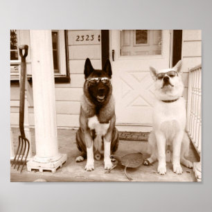 Hipster Dog Duo Poster