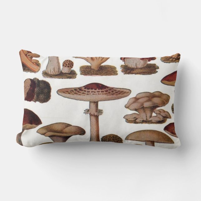 hipster french botanical print vintage mushrooms lumbar pillow (Front)