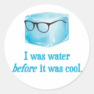 Hipster Ice Cube Was Water Before It Was Cool Classic Round Sticker