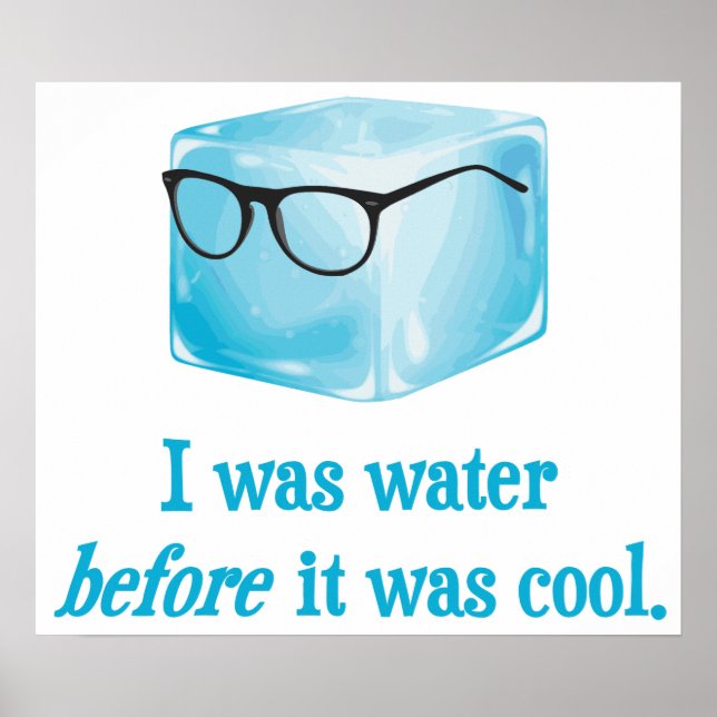 Hipster Ice Cube Was Water Before It Was Cool Poster (Front)