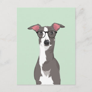 Hipster Italian Greyhound Dog for Dog Lovers Postcard