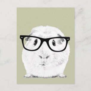 Hipster Pigster Postcard