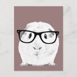 Hipster Pigster Postcard