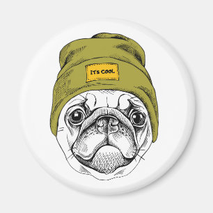 Hipster Pug It's Cool Magnet