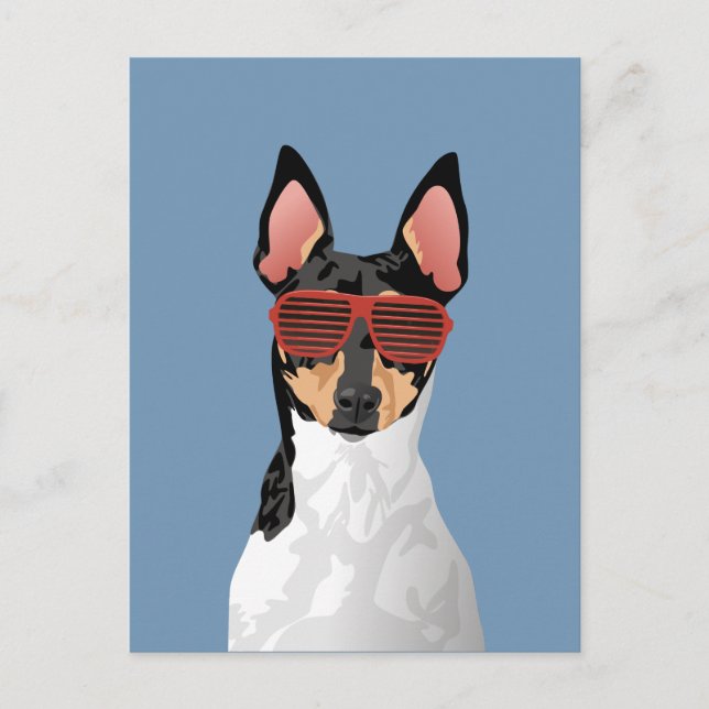 Hipster Toy Fox Terrier Carte postale pour Amoureu (Devant)
