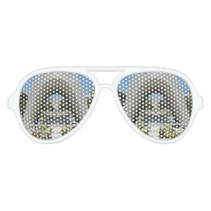 Hiroshima Memorial Cenotaph Aviator Sunglasses