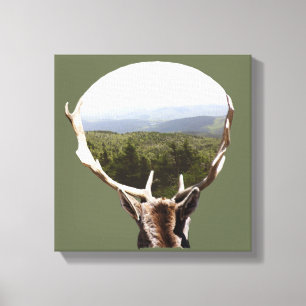 His Domain Canvas Print