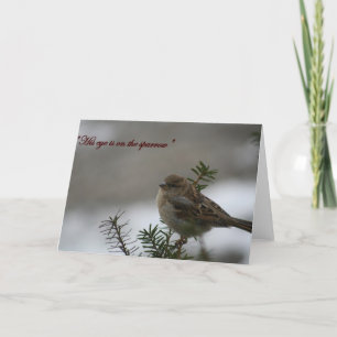 "His eye is on the sparrow" Card