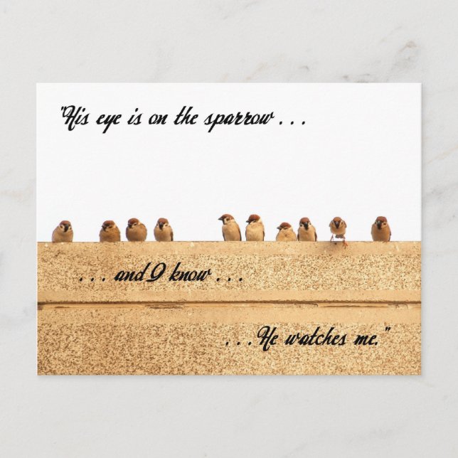 His Eye is on the Sparrow . . . Postcard (Front)