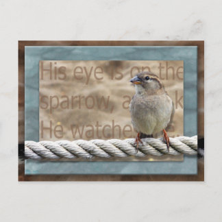 His Eye is on the Sparrow Postcard