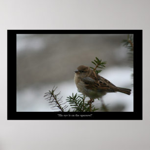 "His eye is on the Sparrow! poster