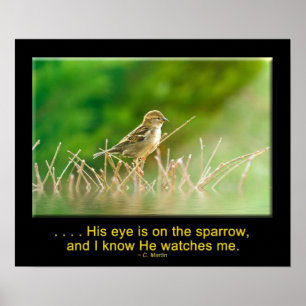 His Eye is on the Sparrow -POSTER Poster