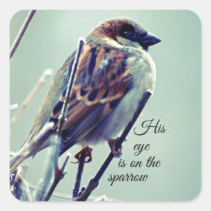 HIs eye is on the Sparrow Square Sticker