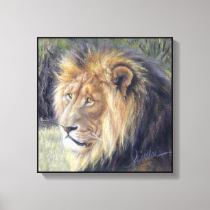 "His Majesty" 14" x 14" Canvas Print of Lion