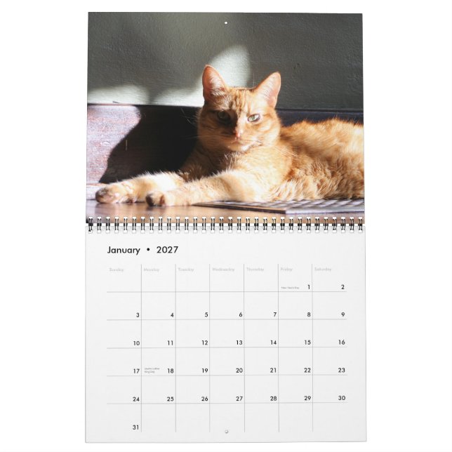 His Majesty The Cat 2012 Calendar (Jan 2027)
