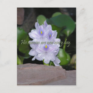 His Mercies Postcard