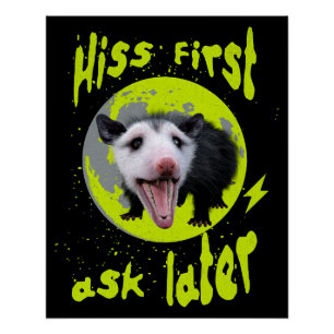 Hiss First Ask Later Funny Opossum Humour Poster