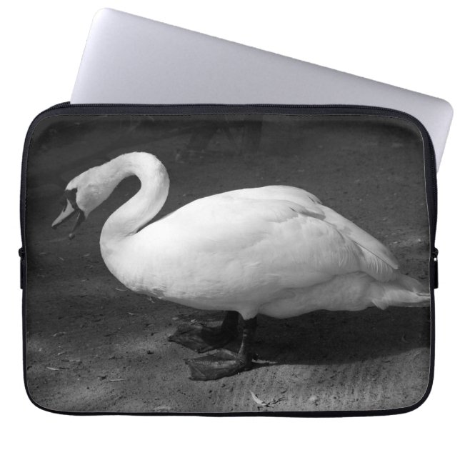 HiSSs Laptop Sleeve (Front)