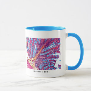 histo class mug